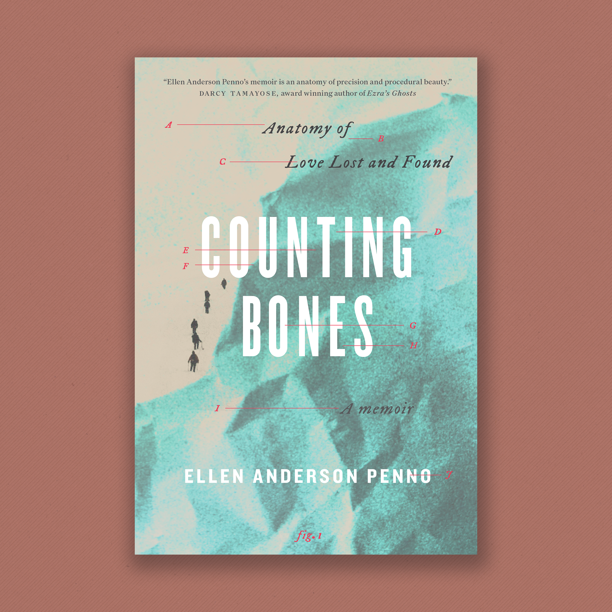 Book Cover: Counting Bones, Anatomy of Love Lost and Found, a memoir by Ellen Anderson Penno Cover: Small climbers make their way up a massive blue mountain. The mountain is abstractly drawn. The title and subtitle are labeled by thin red lines with attached letters similar to a medical text book. The entire cover is labeled as fig 1. 