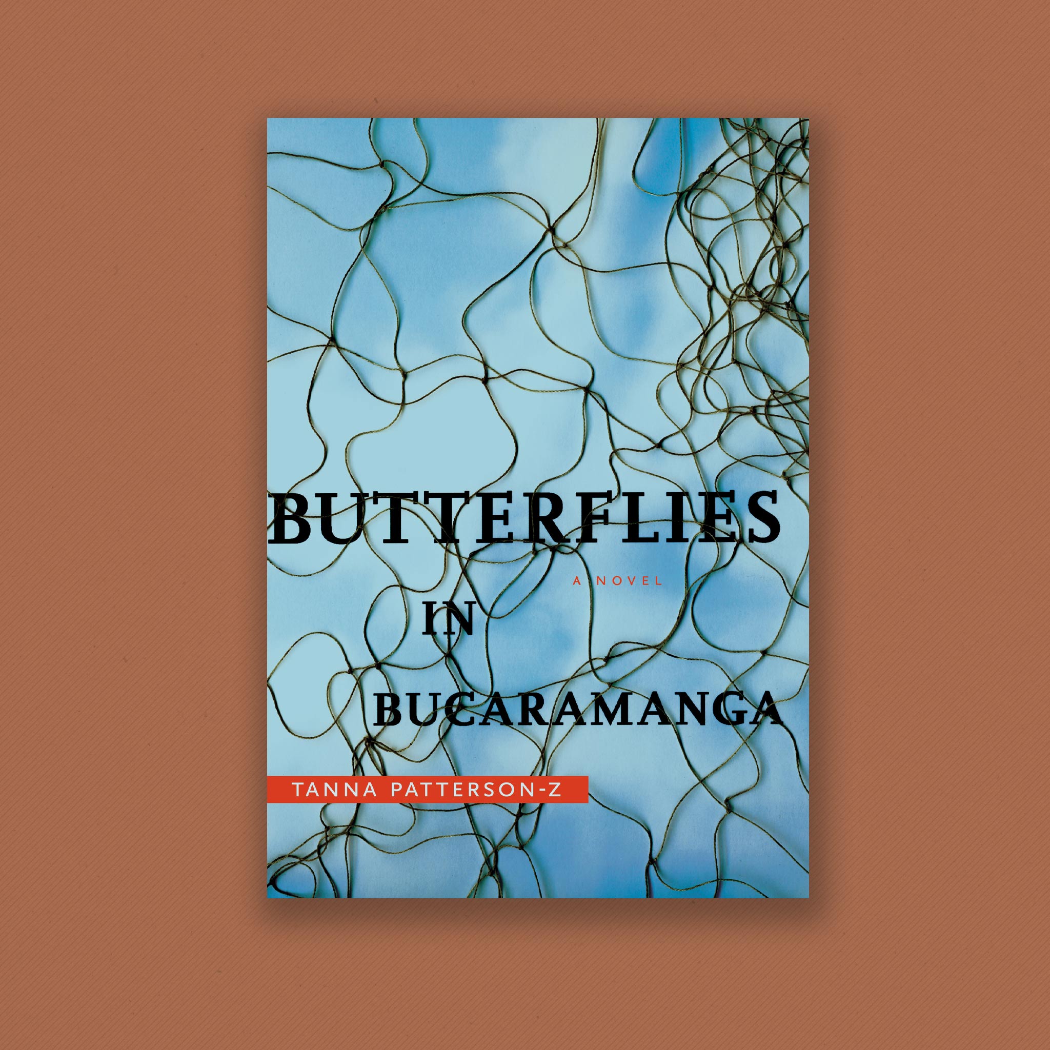 Butterflies in Bucaramanga