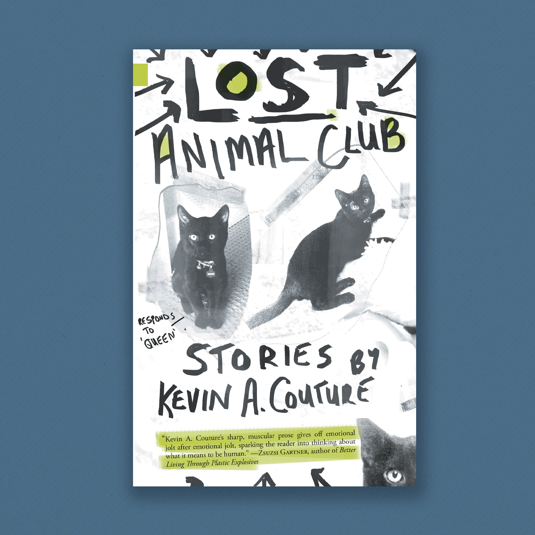 Lost Animal Club